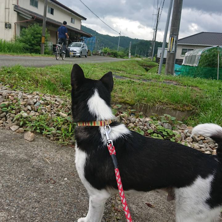 1236712c 3bc4 43c1 86b8 4eb2de9dcf84 1625442720922