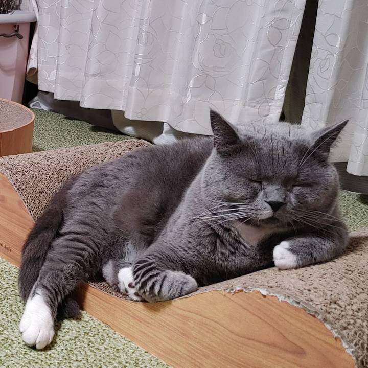 12369f4e 3a0d 45dd b94c d8a41254a845 1658408022641