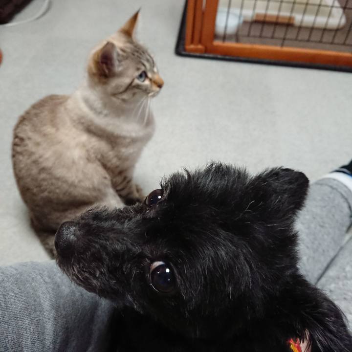 1236f41f 0268 4436 ae81 87250d381917 1519211908306