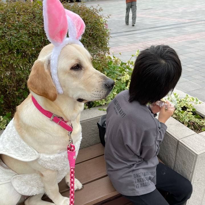 12370af0 411a 4c1e be60 fc24dfd88775 1635603933950