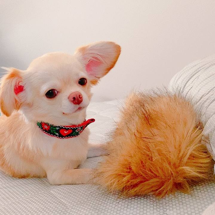 12371a8b 82ff 4b68 a3d2 eaaea05a5da2 1629274357405