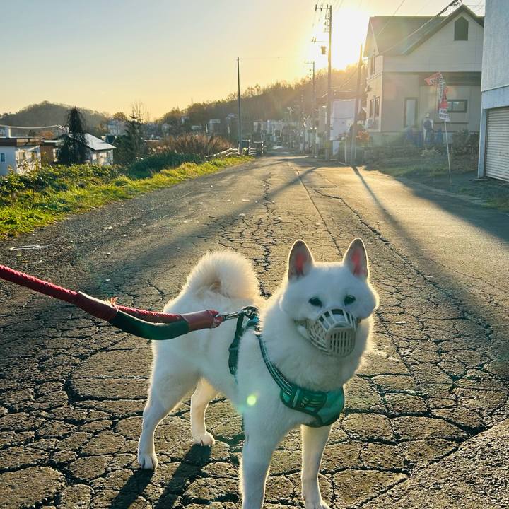 12376474 c142 4b59 b264 4089f2beb916 1700524872720