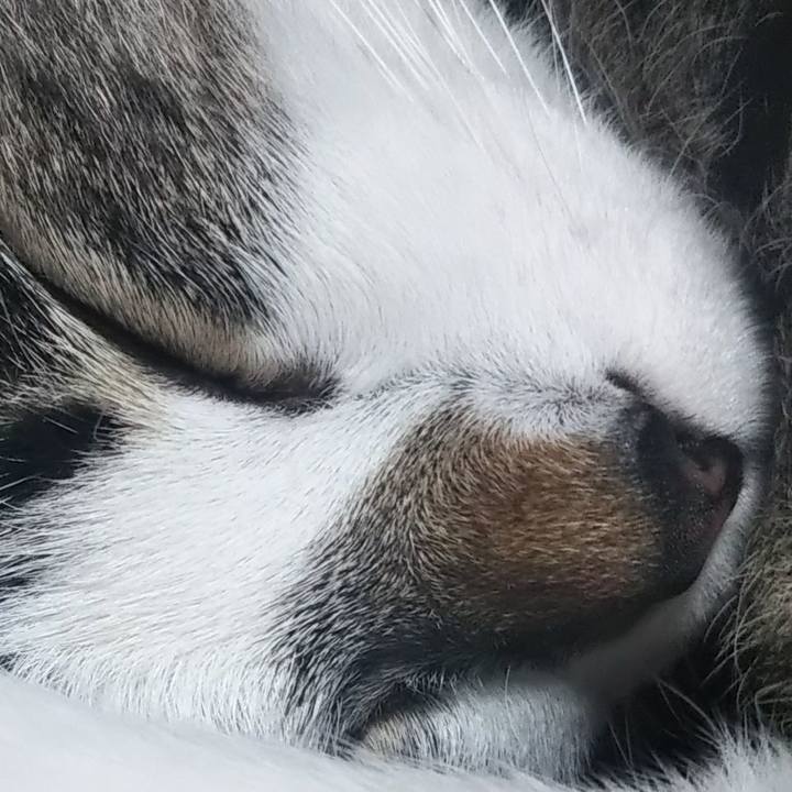 1237845a bf1e 4b10 9770 148b7b74af38 1603280206520