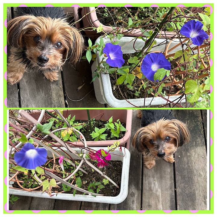 12379e2c 4b32 4ab6 aae9 79018dffa9c4 1729899025806