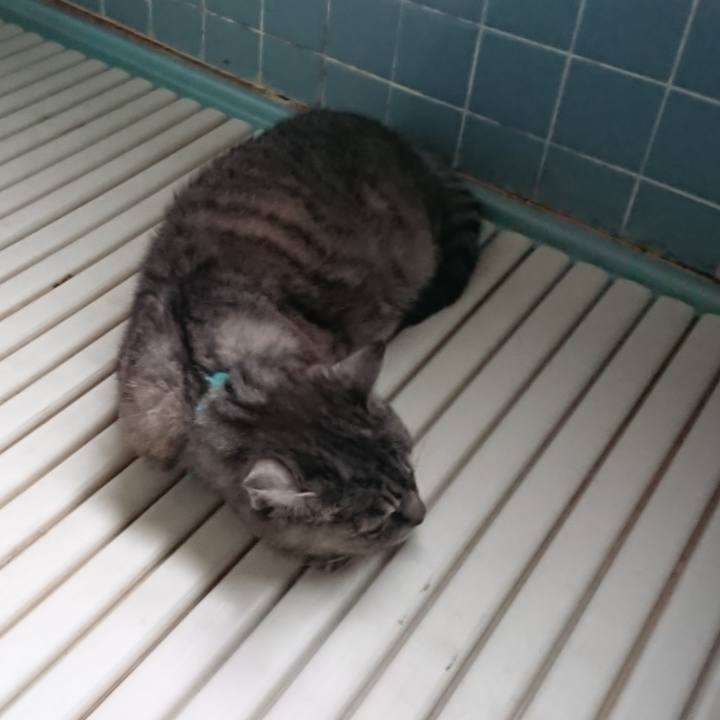 1237c6f6 87b1 48c6 9f97 87563a786bbb 1570156125079