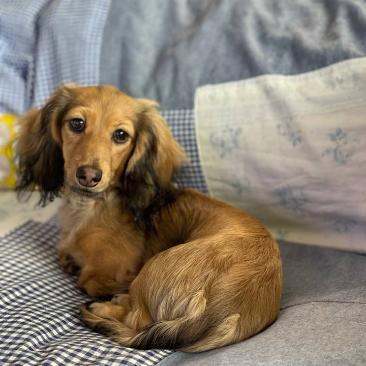 1237d45d 8769 4f92 b414 05c773c57de5 1618237165328