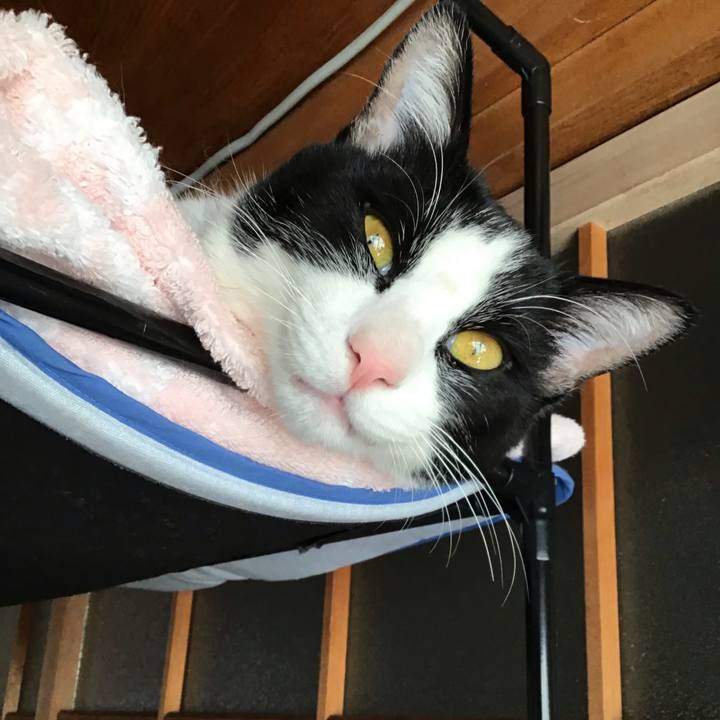 1237f686 75eb 468d 821f 0c4e700a1fed 1645415623448