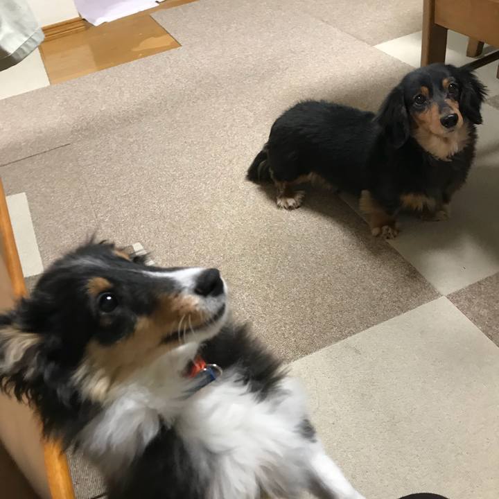 1237fcf2 9b96 476f ad2e e5693f08e442 1513721125037