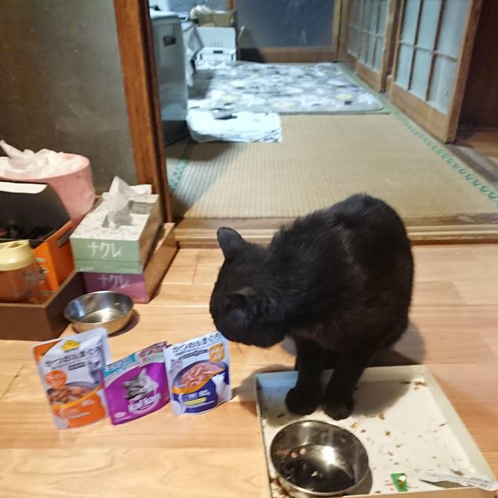 123828f1 0438 4003 818b c38c9778e936 1622720591834