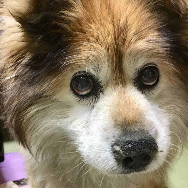 12384d95 7589 4a4b 8a5a 7741af2c7eb5 1584664102544