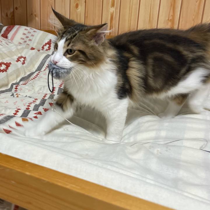 1238a658 ce21 494c 8d61 f022b8429b10 1636407462456