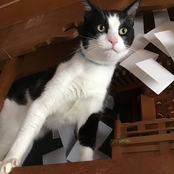 1238ac81 4949 49d9 9287 53e30f14bd42 1749466821391