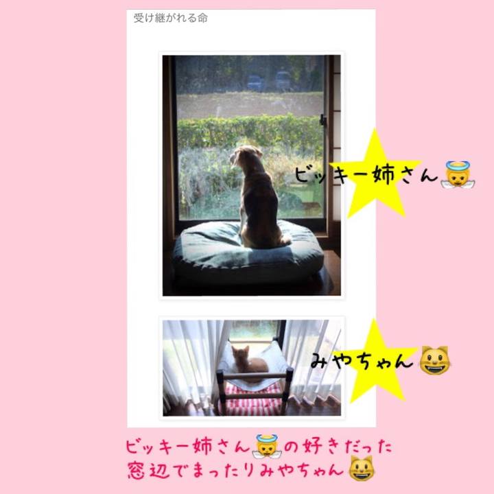 1238b1a7 e28e 4c0c 930c 1a91dfc6502c 1525257508348