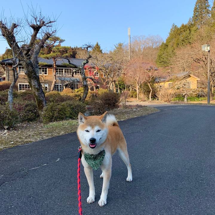 1238ca37 44ba 4ec4 a305 2ed0c1400488 1678265326249