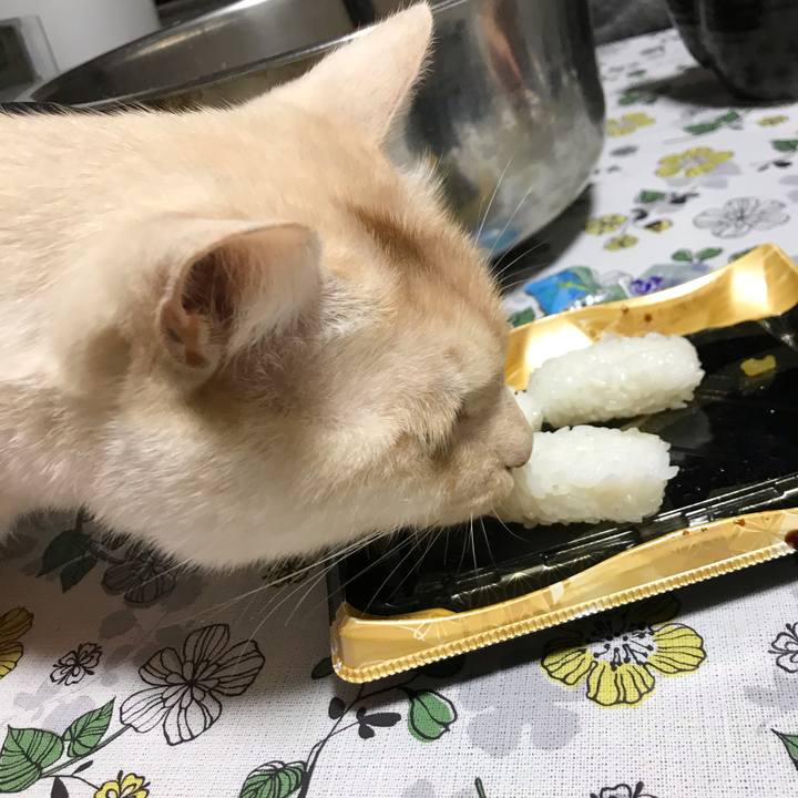 1238eb13 7b20 40cd b5b7 d856583c73e8 1581414048670