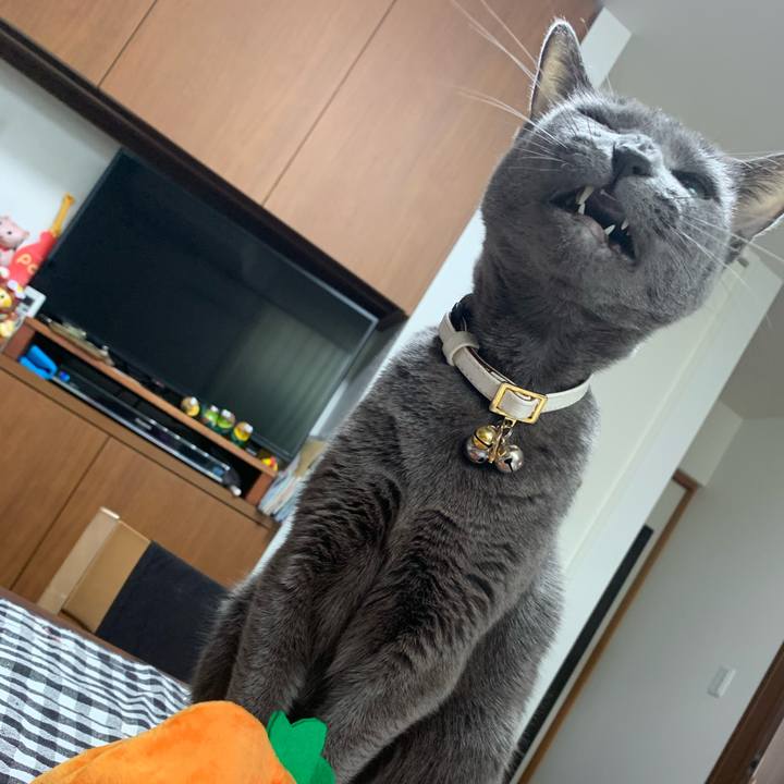 12390b75 9184 4e53 ab82 bea1abb7746d 1667174644869