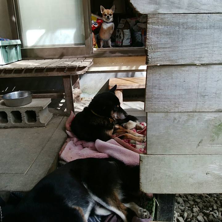 12393c0f 4b2f 4bc1 8250 652fb69a763b 1541816965917