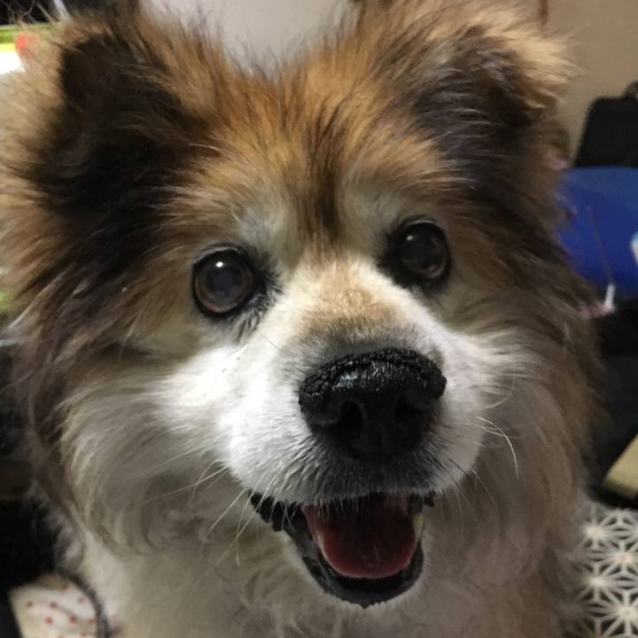 12397bf5 6383 49e9 8964 5471788e735c 1559383678301