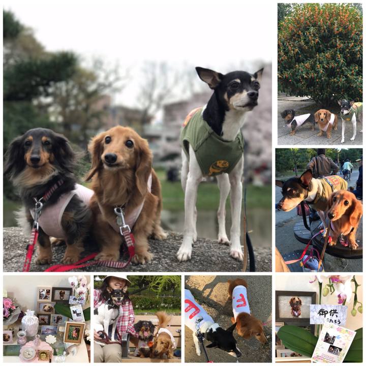 1239977e c95e 4fc7 a1f8 69fff0dc2927 1563008847035