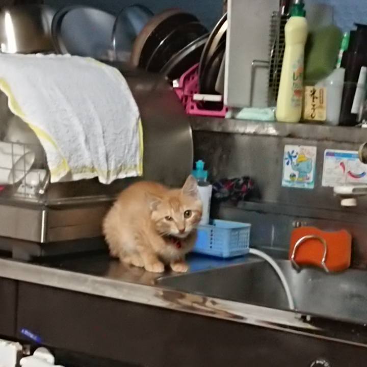 123998ac a481 43f8 8e6a abd37427bd94 1630876522688