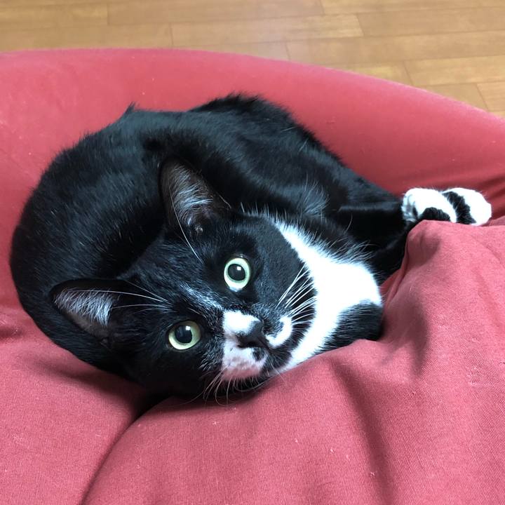 1239a48d dd9a 4957 962e 635bee9e8ad7 1547006186145