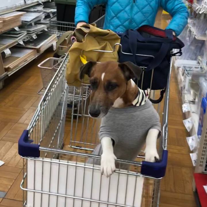 1239b740 4596 4e56 bdf9 4ed8527ede62 1548717277487