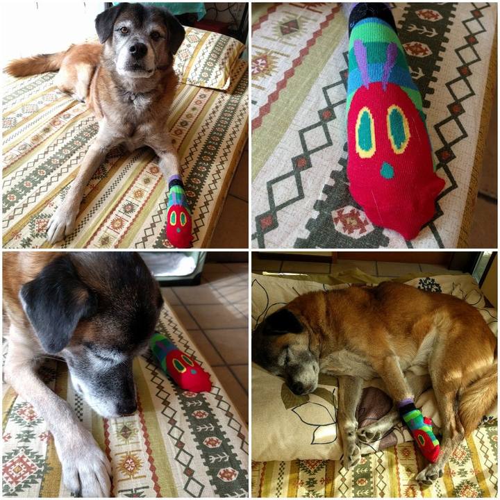 1239e4e8 3504 4d9f 82e3 47ebd5c331c8 1543021280415