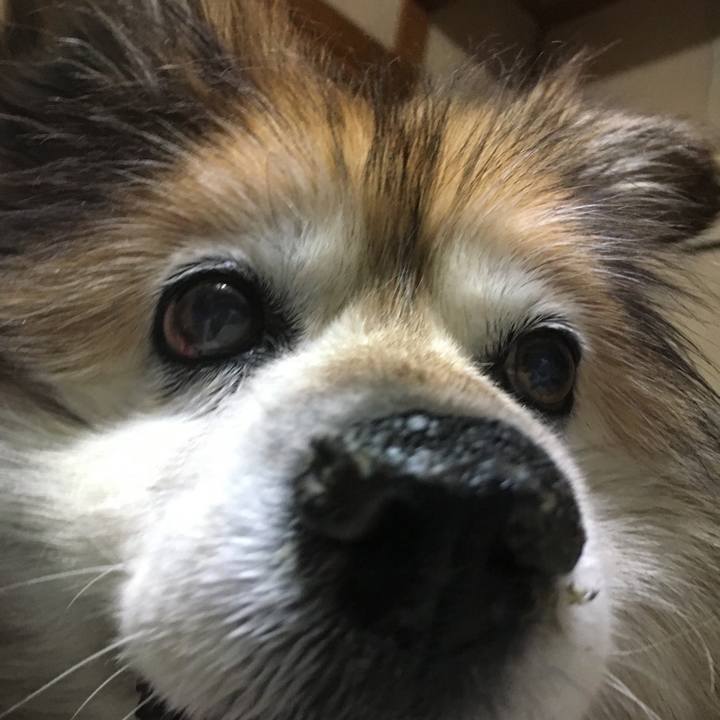 1239eb26 59d2 47dd 9599 53312ccca200 1590236048422