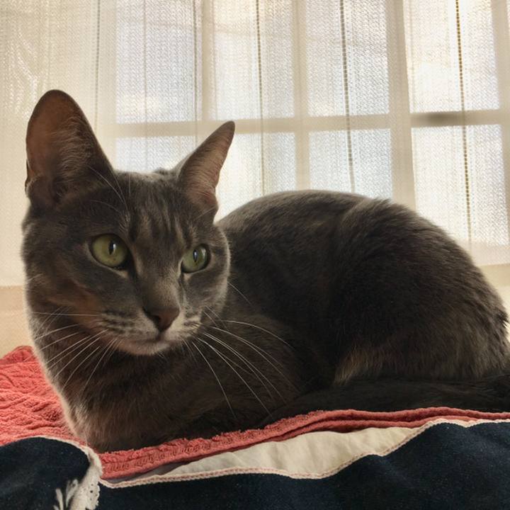 1239ec5b df24 4692 8d56 363eedc62bb8 1558226444787