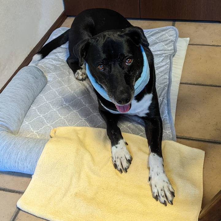 1239f25b c1a4 4b1a ac88 ef10e05cbe07 1690763657556