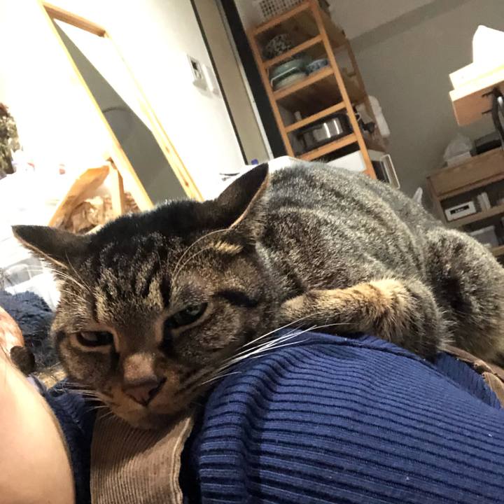 123a3a1f be0c 43a5 b0dd 68d41937080f 1577104261824