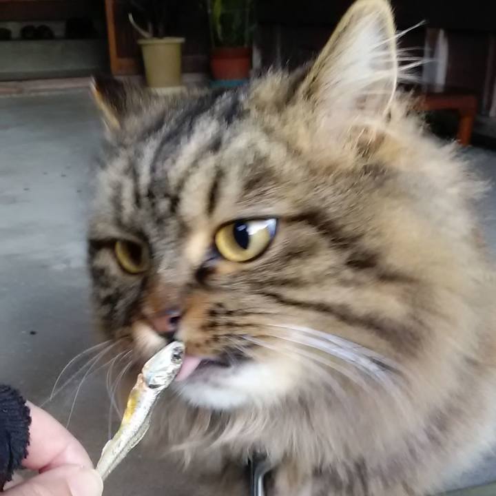 123a54fc 9b7d 4c6b 91e4 459bf4f6b514 1609547243758