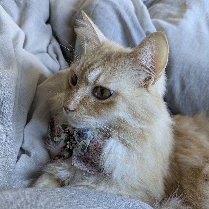 123a5f17 f748 449b a50b 5b0b6a00432c 1761524727813