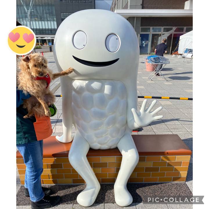 123a6c49 d973 41c0 b99d 8df65e62b642 1684569915844