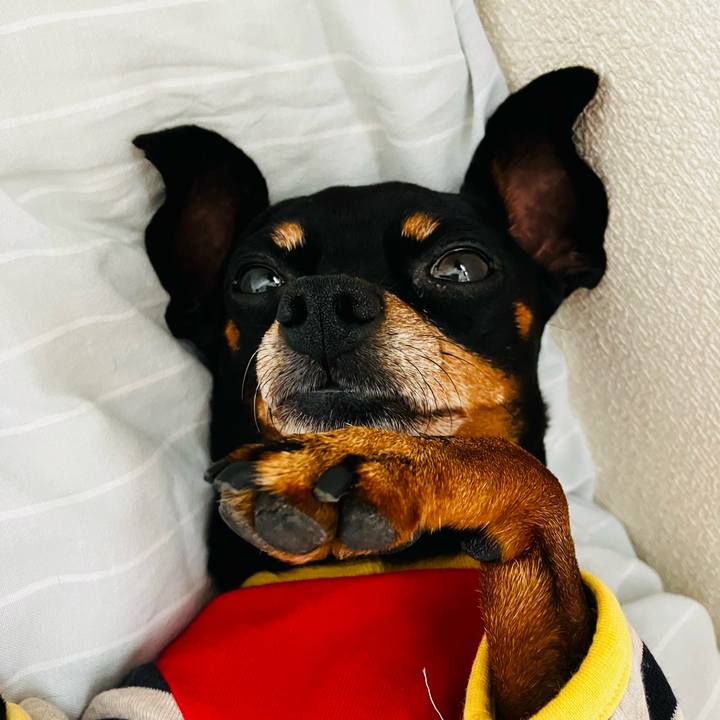 123a9b75 6bba 4137 b57d b05f1279e7b6 1729294472197