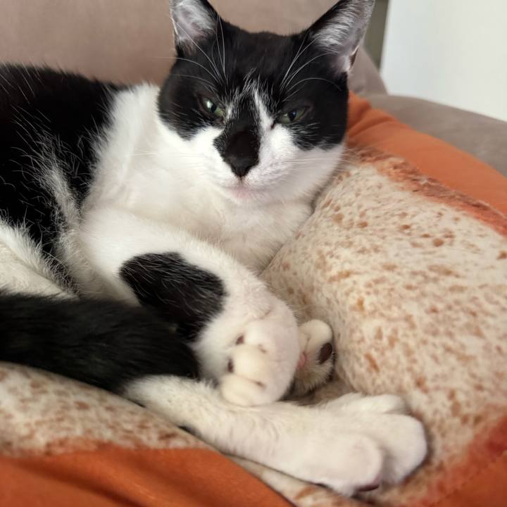 123a9c6b 437d 477f 9d36 5356a12e6604 1764371543587