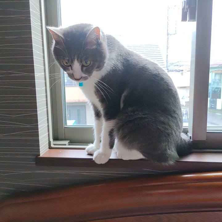 123aaecd 1320 4287 babb 2c74042c5a26 1688594147236