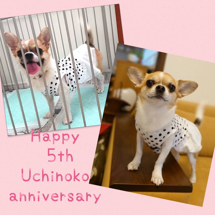 123acbfb 830b 4b9d 9ae4 cb25d493382a 1686264577132