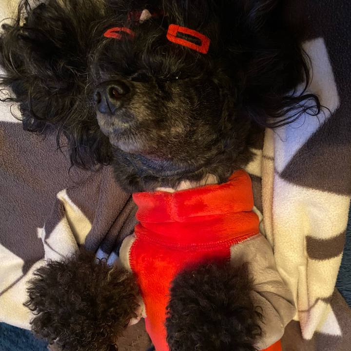 123ad69a 6ad0 496b 881e 11339ed2e847 1677115538766