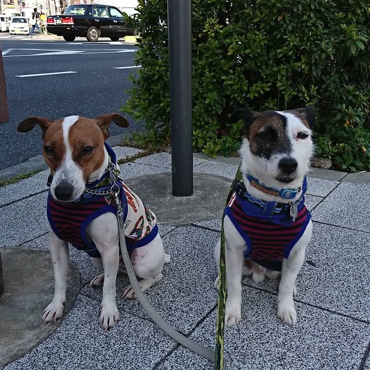 123b0be4 287c 4c38 bbbb e6231ff64a54 1554505264476