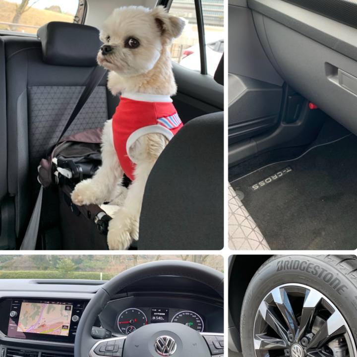 123b4a66 374f 4802 a05a ec397cd94d50 1583496335397