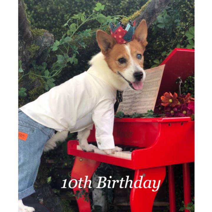 123b5dc0 62a5 4287 bc44 397bd1cb35eb 1537438166492