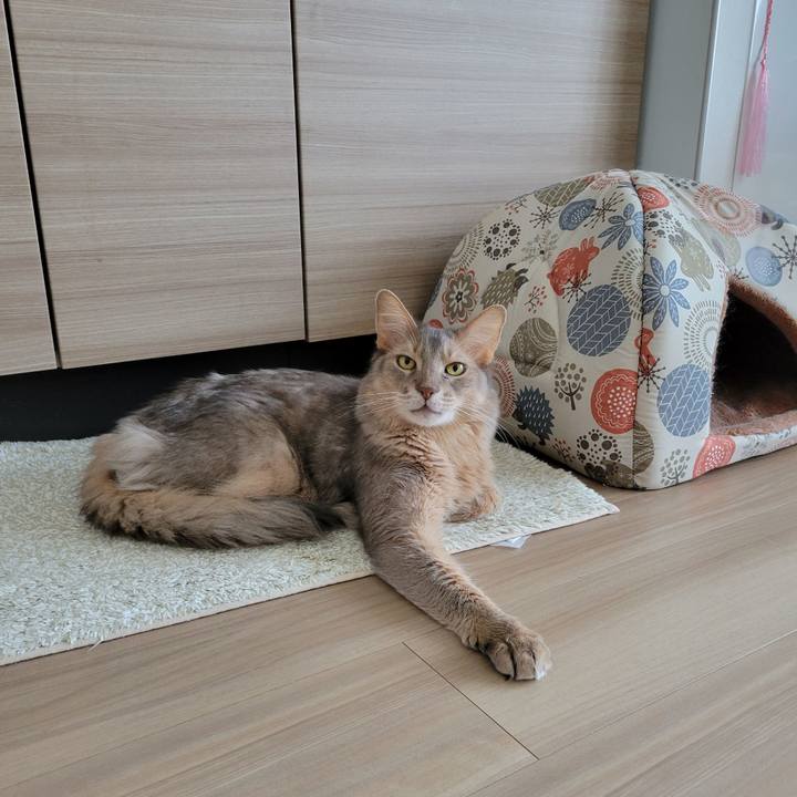 123b614a d776 4c05 88fb 89ccb74f87e7 1659242975984