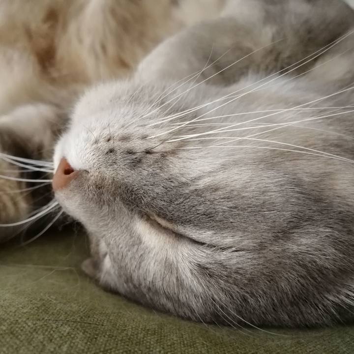 123b671c 7500 4b22 9dc8 d674b9e9a949 1554944212156