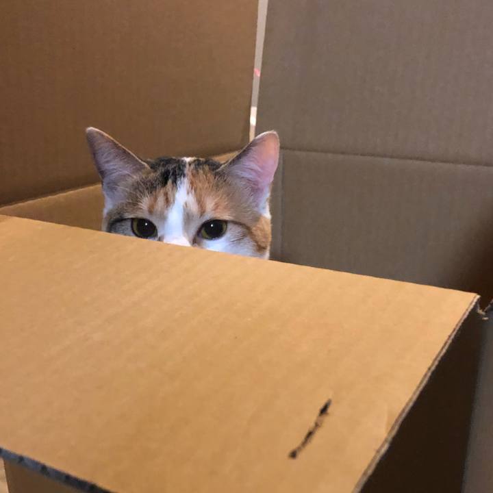 123b969f fd7e 4de5 87c3 4ceeeddcff5f 1587565629732