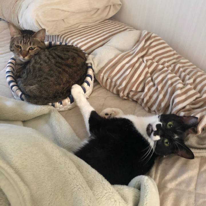 123bd773 b1a9 4360 986f 49830c67787b 1572698536760