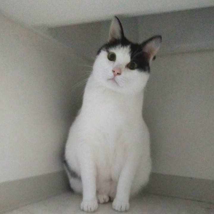 123bd79f 4825 4bd2 8142 e2659839153f 1552995050776