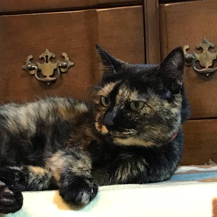 123bd932 7a3a 4765 a671 f7399781ab7a 1550241975057