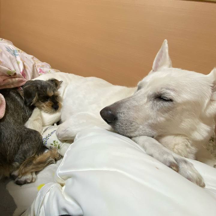 123c1b4b 6032 4601 b501 18d7c9c12932 1585633892845