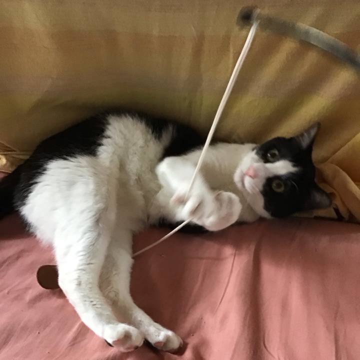 123c82b7 3777 48b7 9585 5c07960df68c 1685357500819